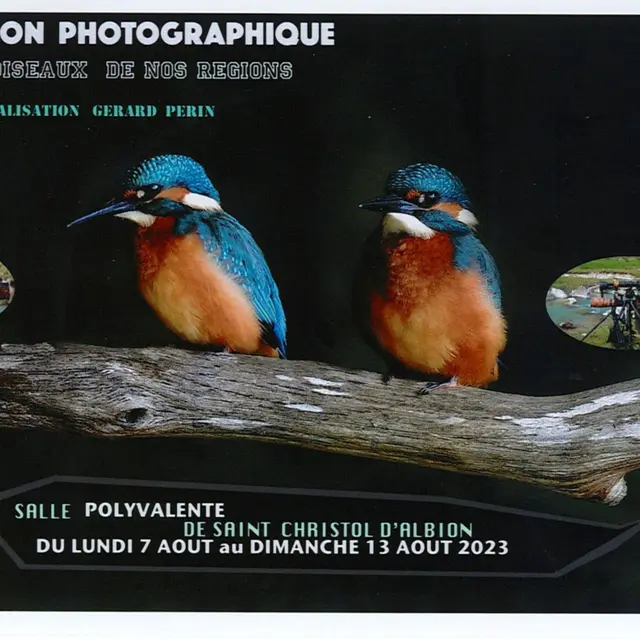 Expo de photos les oiseaux de nos régions
