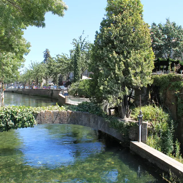 La Sorgue à l'Isle s/ la Sorgue