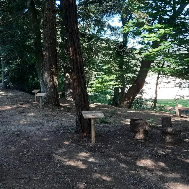 Arboretum de Collobrières