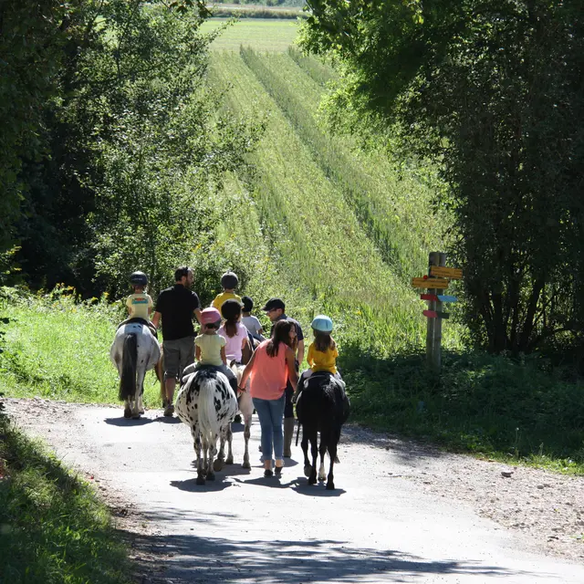 Equitation aux Ecuries de Crossey