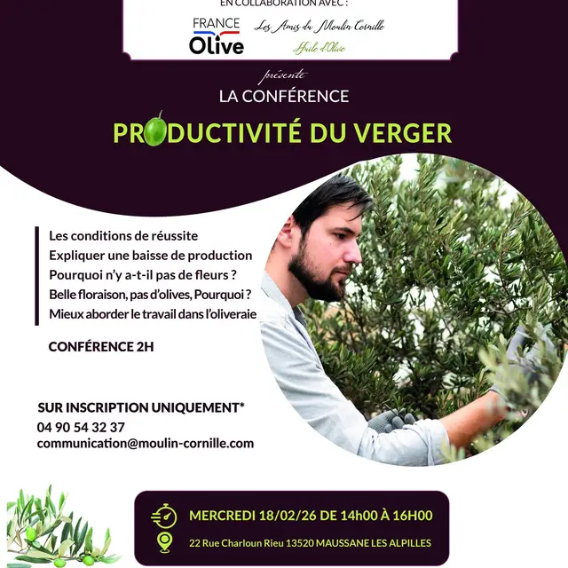 ATELIER CONFERENCE : TAILLER SES OLIVIERS_Maussane-les-Alpilles
