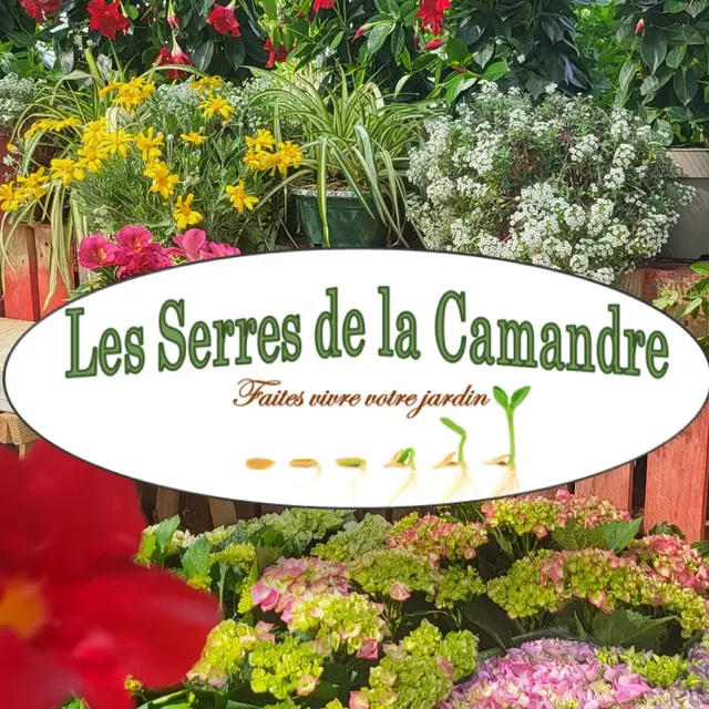 Les Serres de La Camandre_Fayence