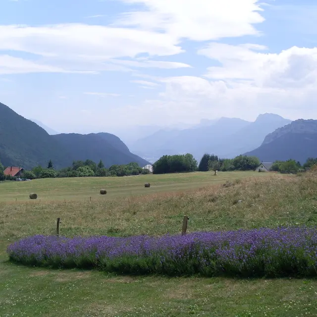 vue au sud
