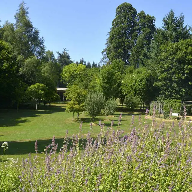 Animation à la Plantelière : Les insectes pollinisateurs de la Plantelière_Arpajon-sur-Cère