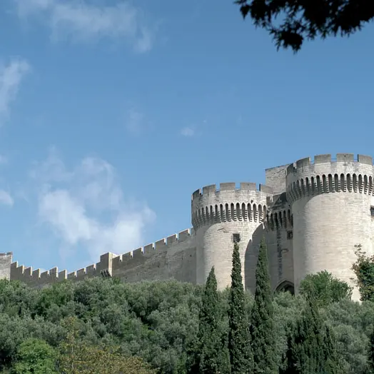 Explorez le fort Saint-André en compagnie de passionnés !_Villeneuve-lez-Avignon