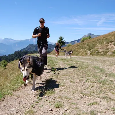 Les traîneaux de l'Ubac