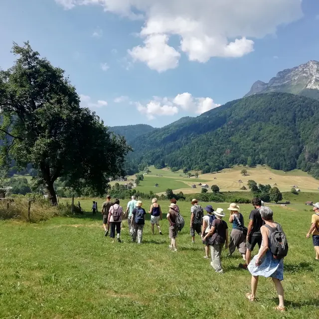 In Loco - théâtre d'impro I Rendez-vous Nature en Savoie_Porte-de-Savoie