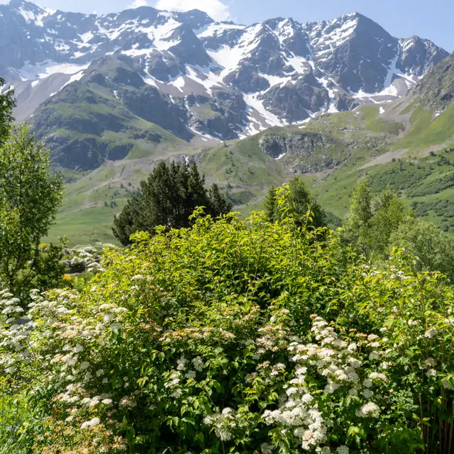 Exposition temporaire du Parc national des Ecrins_Le Monêtier-les-Bains