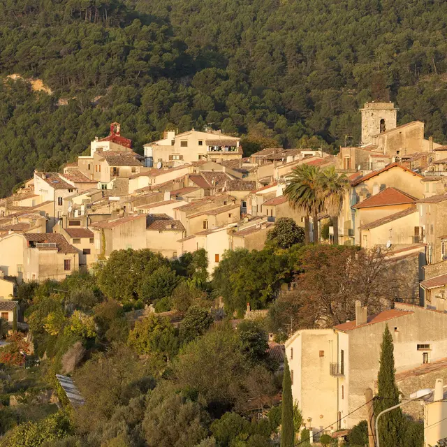 Le Cercle de la Fraternité