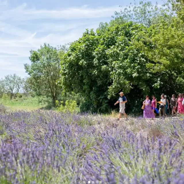 Visites guidées au Mas en Provence_Bellegarde