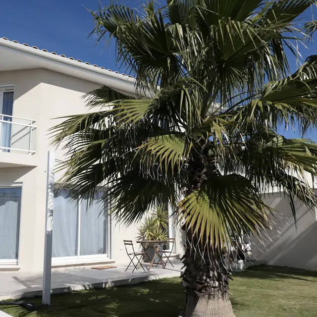 Rez de jardin