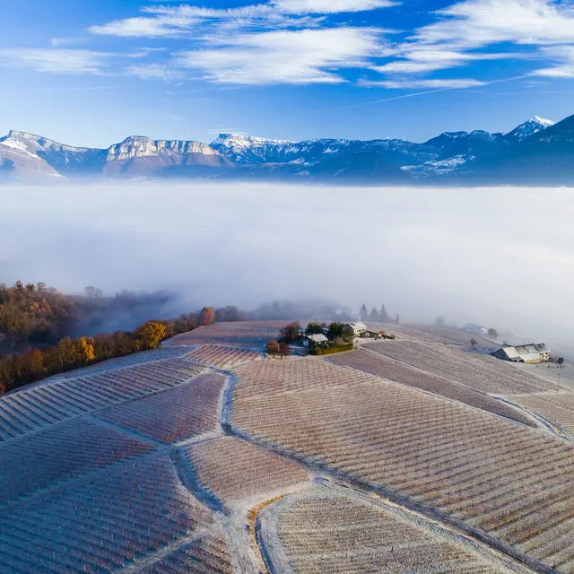 Domaine Dupraz_Apremont