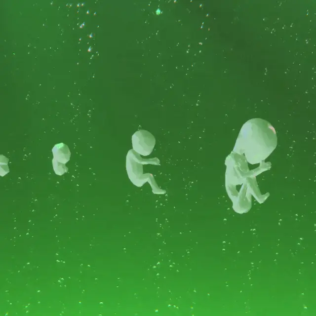 Créatures de substitution_Aix-en-Provence