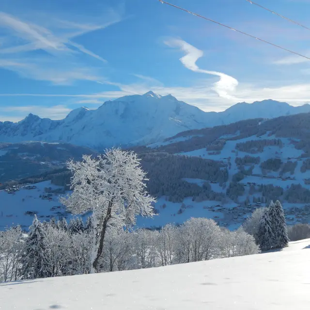 Vue Mont-Blanc