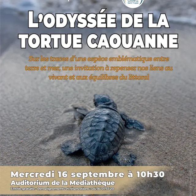 Diaporama interactif : l'Odyssée de la tortue caouanne_Cavalaire-sur-Mer