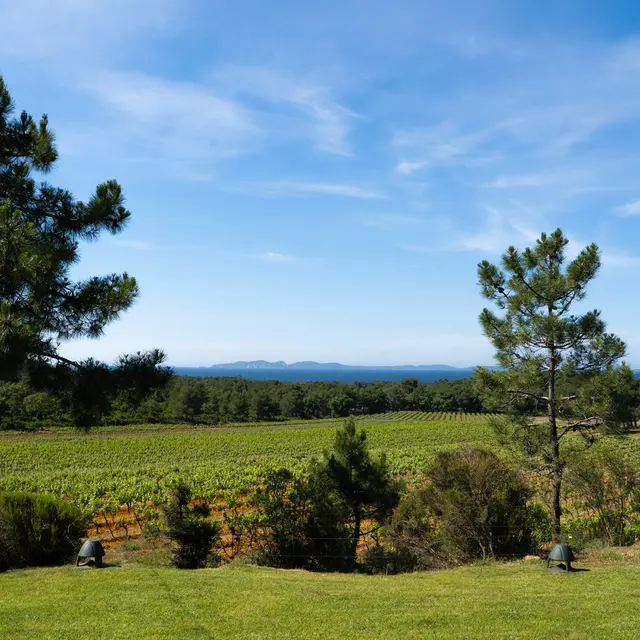 Domaine de la Sanglière_Bormes-les-Mimosas