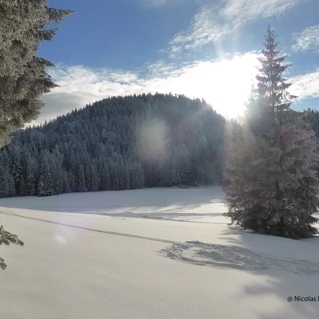 Station de ski nordique - La Ruchère