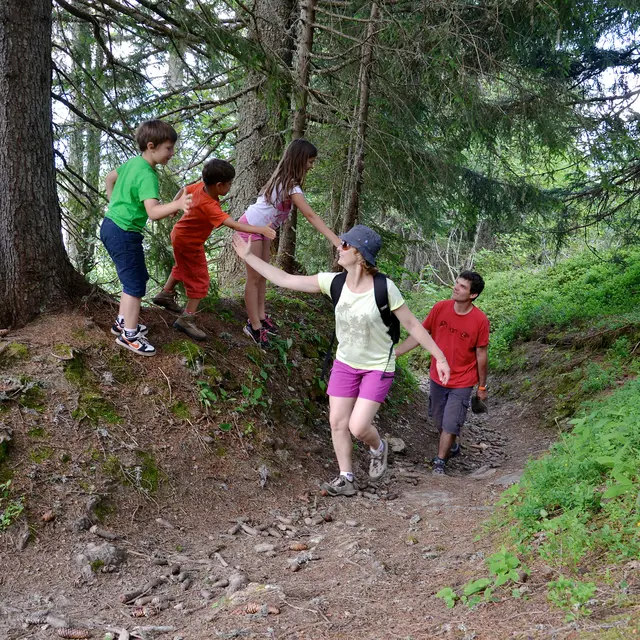 sentier_foret