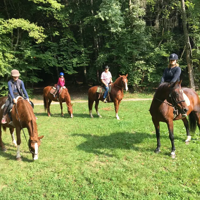 Ranch Equestre