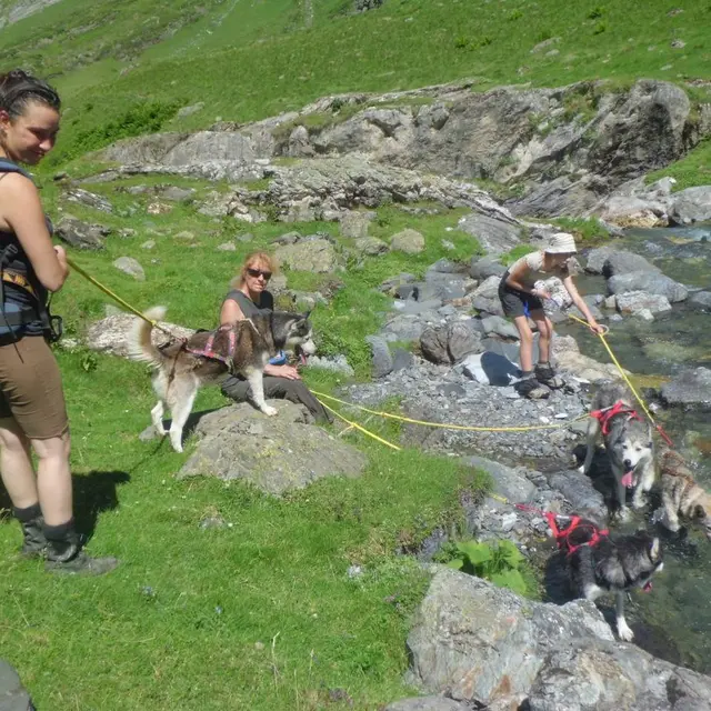 Les traîneaux de la vallée des ours