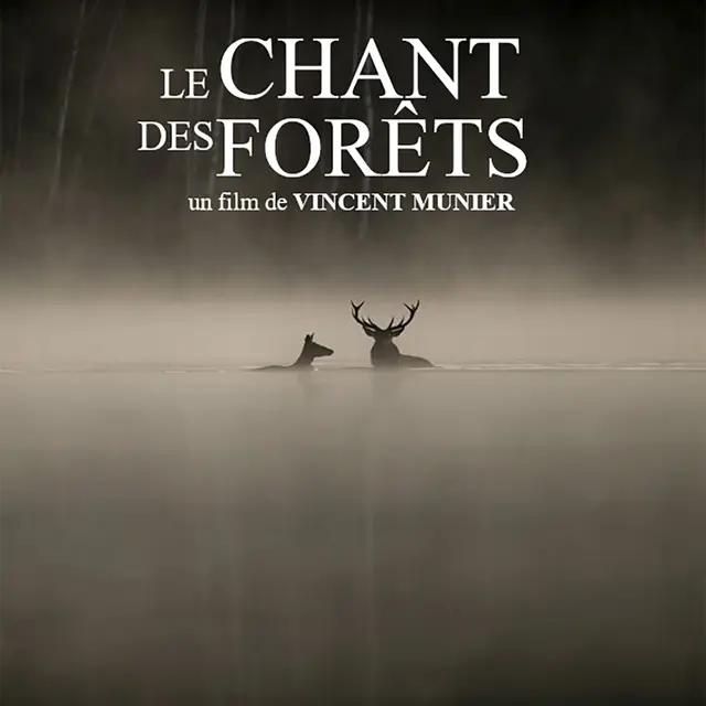 Le chant des forêts