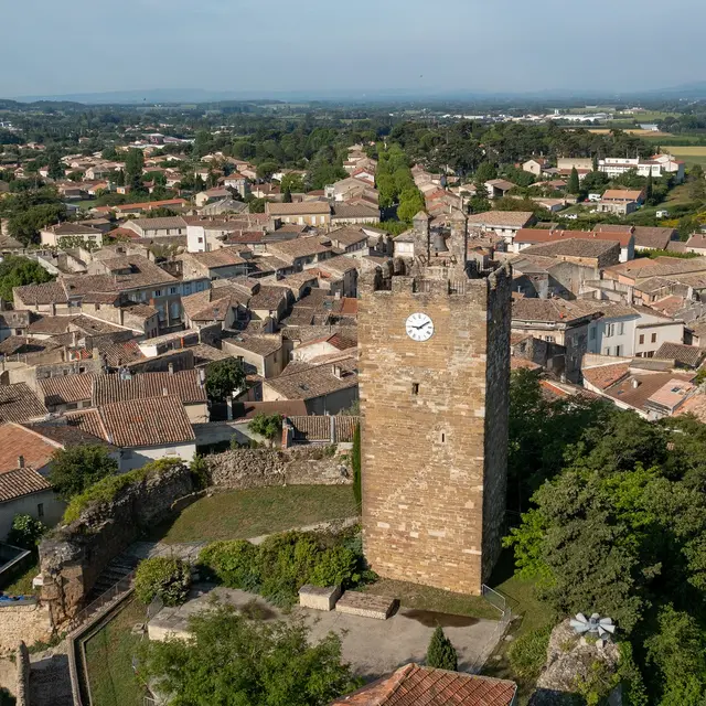 Visite Guidée Valréas - Spéciale Groupe_Grignan