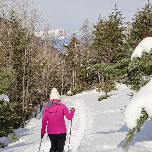 Au fil du canal de Villard-Saint-Pancrace - itinéraire piétons_Villar-Saint-Pancrace