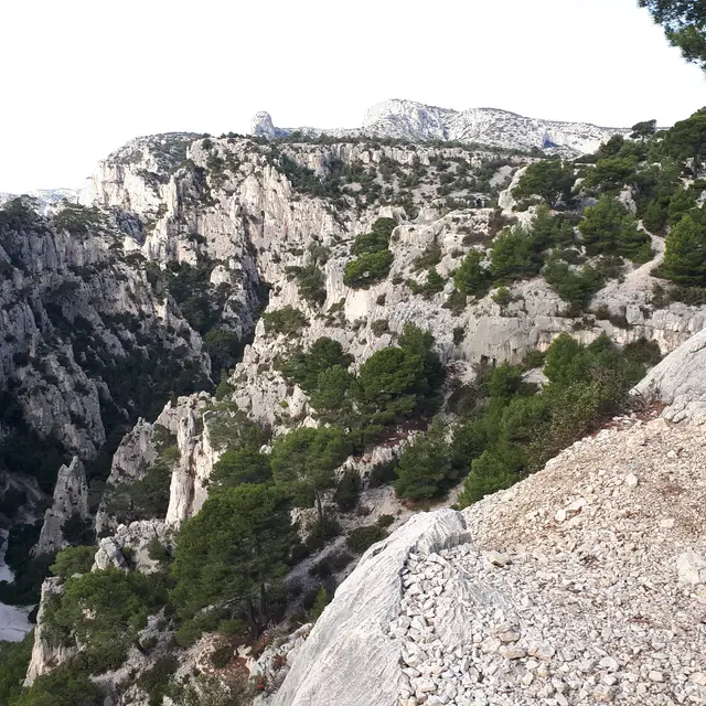 Wandelen door de Calanques: van Port Miou naar En Vau - Tjapke Op Reis