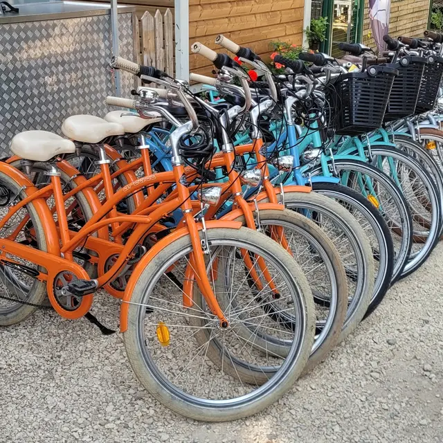 Bertrand Cycles