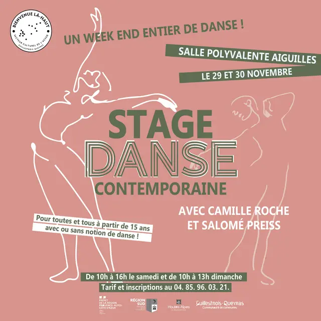 Stage de danse contemporaine_Aiguilles