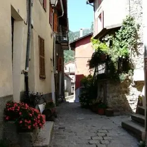 2564637photo-1-2.jpg