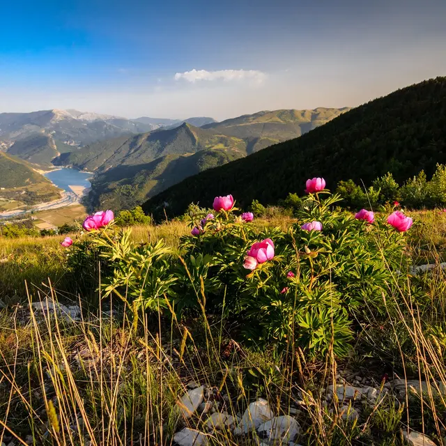 Sommet de Chalvet Saint André les Alpes