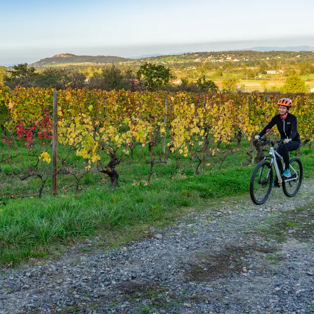 Balade à vélo : Vin, chocolat et patrimoine - Visite guidée_Marcoux