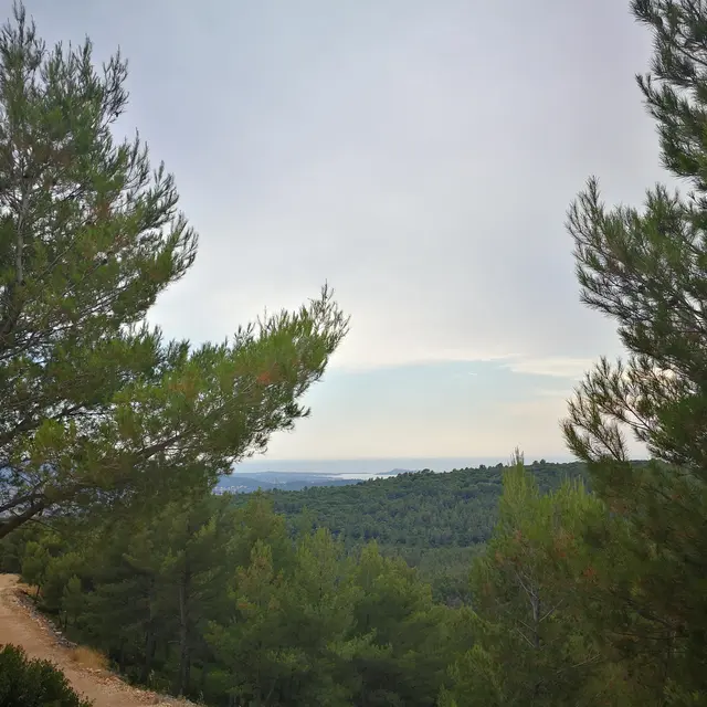 Randonnée à Châteauvallon