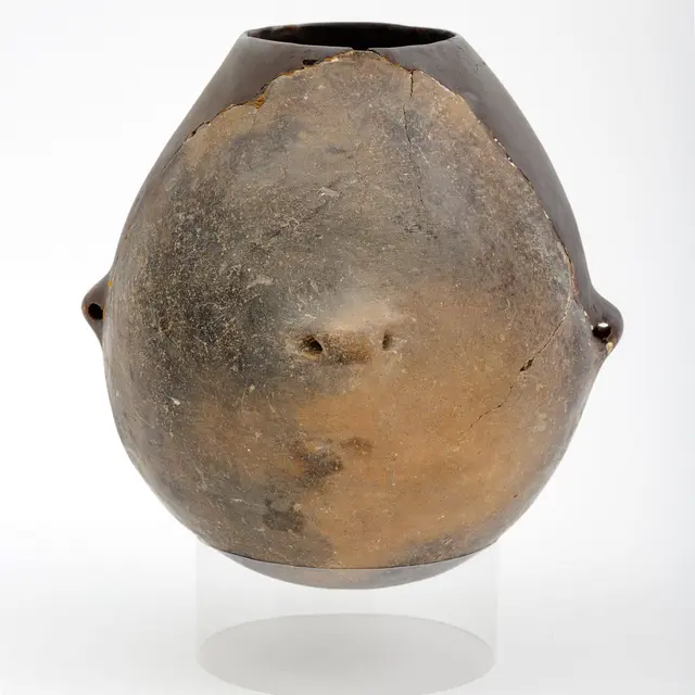 Visite guidée - Archéologie