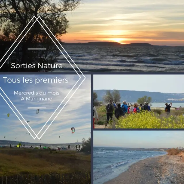 Paysages de Marignane : randonnées commentées