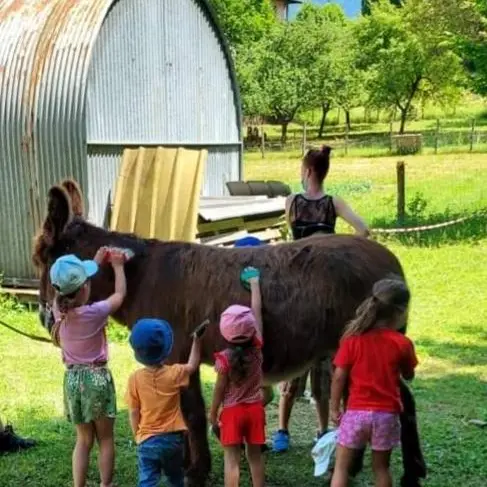 Folie(s) Végétales 2026 - Ferme pédagogique_Thonon-les-Bains