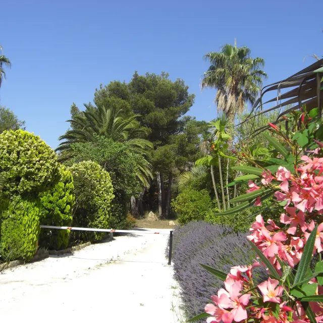 Camping La Pinède Six Fours les Plages