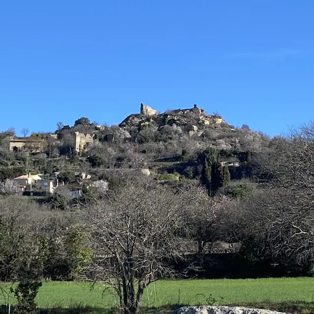Vue du château de Vernègues