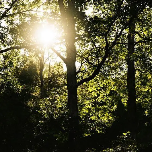 Atelier  Le soleil : source de lumière, source de vie _Villeneuve-Loubet
