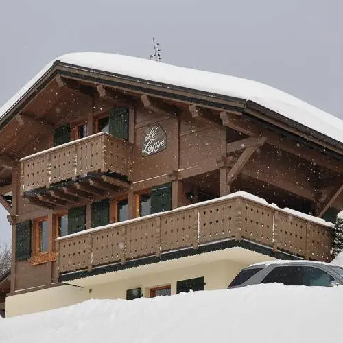 garnier