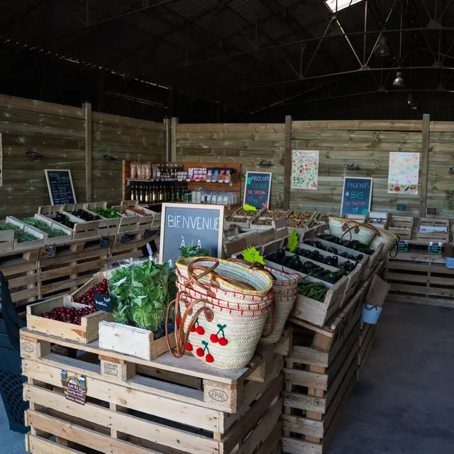La Ferme TREBON_Arles