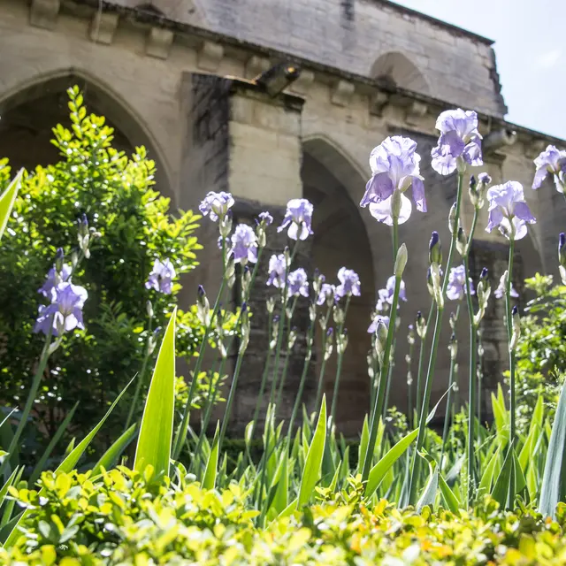 Dimanches aux jardins : création d'une carte en fleurs séchées_Villeneuve-lez-Avignon