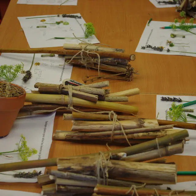 C'est l'été à Salagon : Atelier Fabrique ton hôtel à insectes_Mane