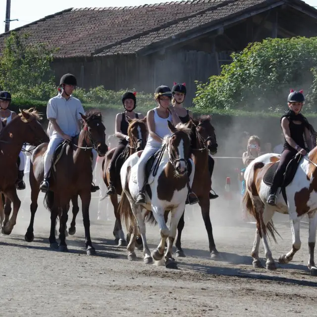 Les écuries de la licorne