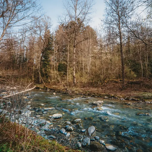 Parcours pêche - Les Usses au pont des Goths_Cruseilles