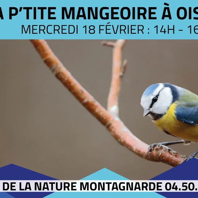 Les P'tits Experts de la Nature® - La P'tit mangeoire à oiseaux_Sallanches