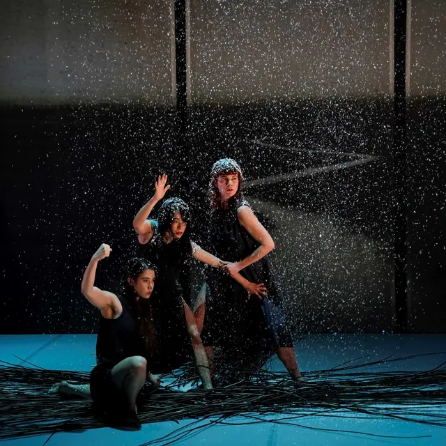 Jeune public - Danse/conte Ronces_Le Revest-les-Eaux