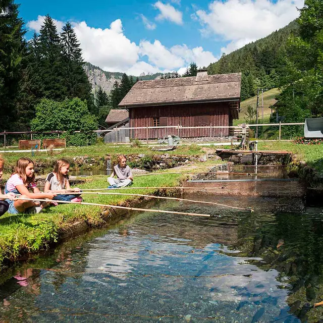 Pisciculture des Meuniers