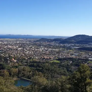 Lecture de paysage au sein d’une forêt méditerranéenne_Hyères
